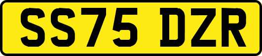 SS75DZR