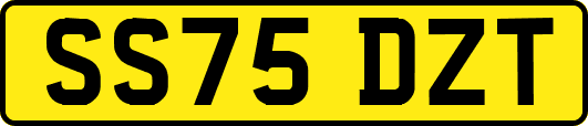 SS75DZT