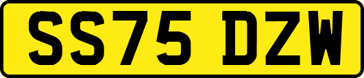 SS75DZW