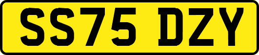 SS75DZY
