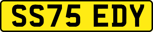 SS75EDY