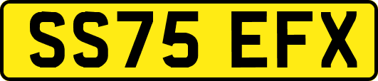 SS75EFX