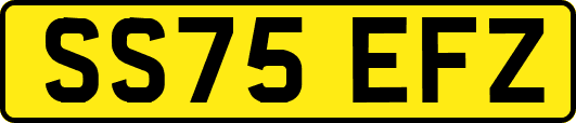 SS75EFZ