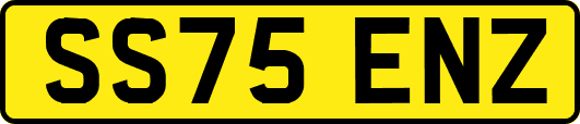 SS75ENZ