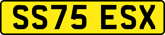 SS75ESX