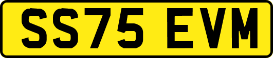 SS75EVM