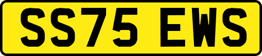 SS75EWS