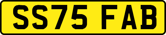 SS75FAB