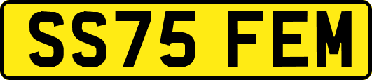 SS75FEM