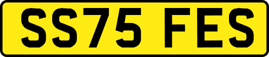 SS75FES
