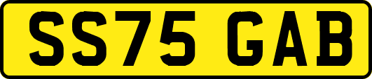 SS75GAB