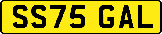 SS75GAL