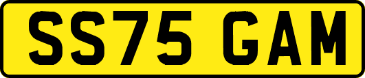 SS75GAM
