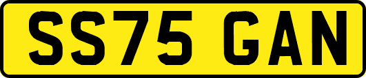 SS75GAN