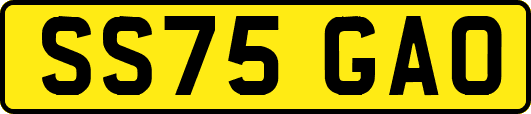 SS75GAO