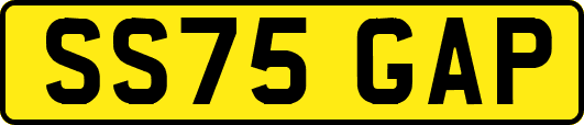 SS75GAP