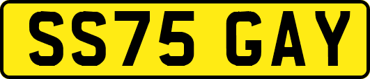 SS75GAY