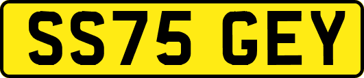 SS75GEY