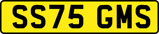 SS75GMS