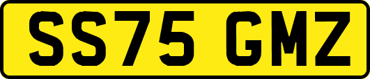 SS75GMZ