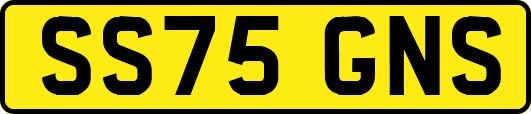 SS75GNS