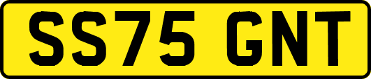 SS75GNT
