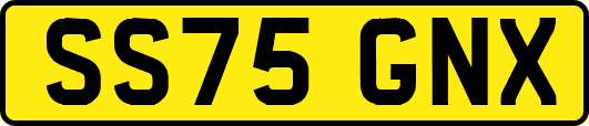 SS75GNX