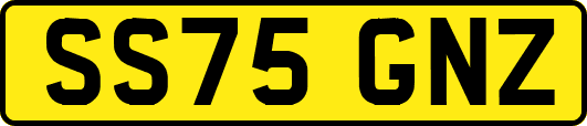 SS75GNZ