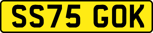 SS75GOK