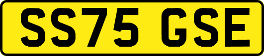 SS75GSE