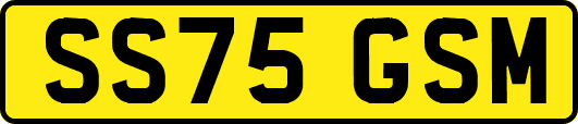 SS75GSM