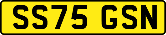 SS75GSN