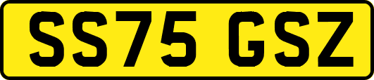 SS75GSZ