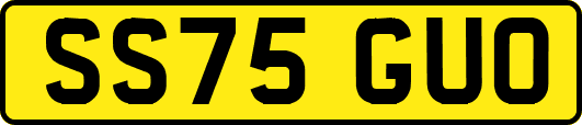 SS75GUO