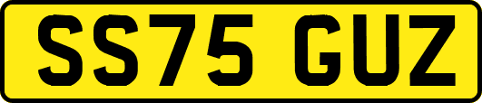 SS75GUZ