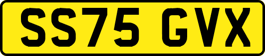 SS75GVX