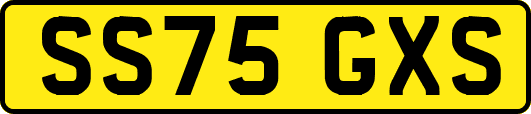 SS75GXS
