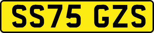 SS75GZS