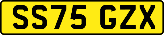SS75GZX