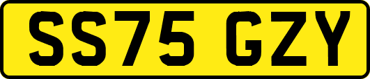 SS75GZY