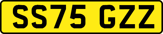 SS75GZZ