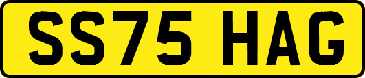 SS75HAG