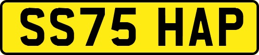SS75HAP
