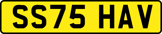 SS75HAV