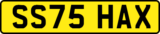 SS75HAX