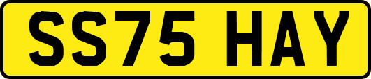 SS75HAY
