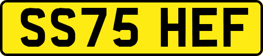 SS75HEF