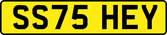 SS75HEY