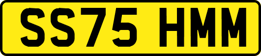SS75HMM