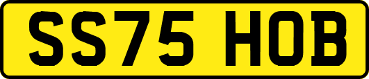 SS75HOB